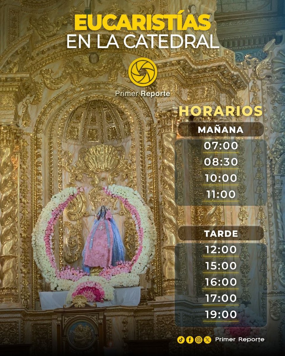 primereporte's tweet photo. 🙏 La Catedral abre sus puertas para compartir la fe con múltiples eucaristías durante el día. ⛪✨

Consulta los horarios y acompaña estos momentos de encuentro espiritual.

Más en 👉 https://t.co/uxBtdWHOc5

#PrimerReporte #Fe #Eucaristía #Catedral #Loja🌹 https://t.co/4hdmMiirU0