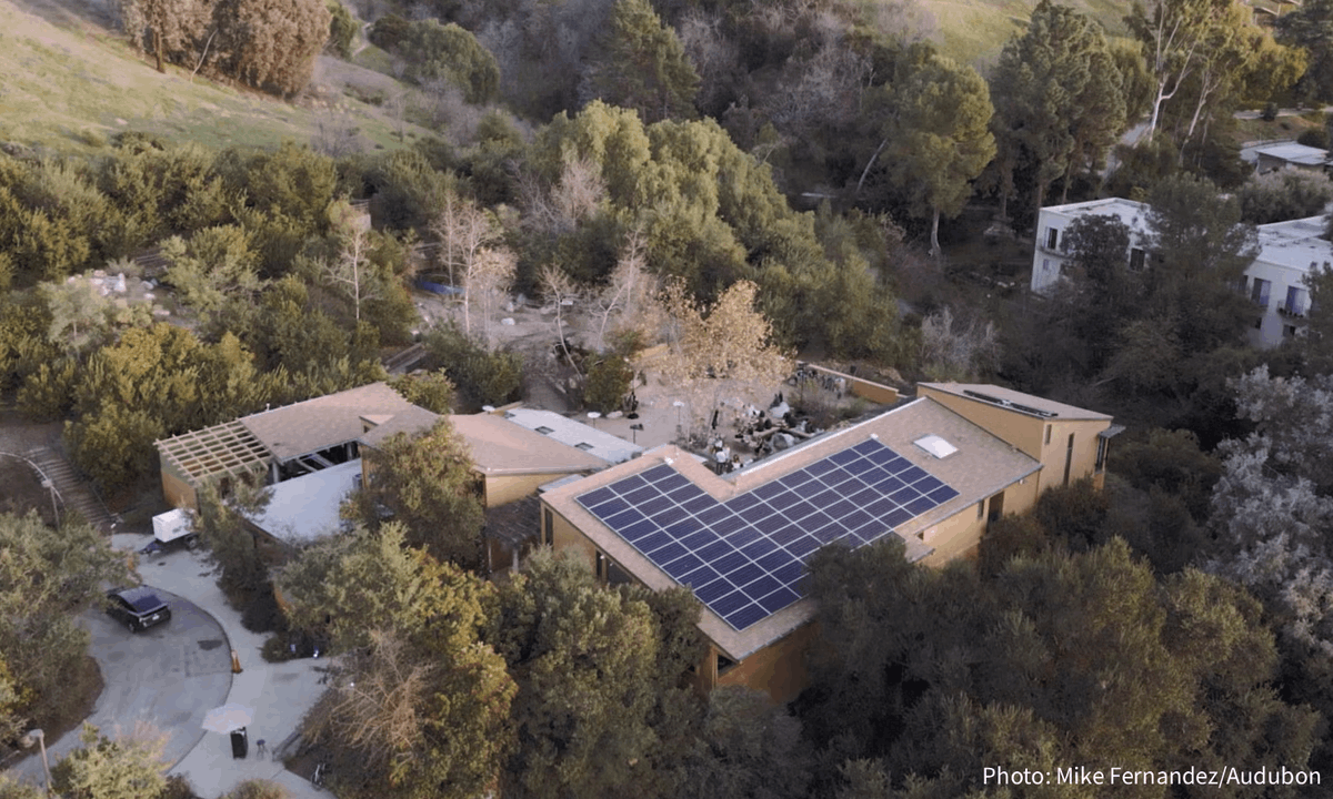 audubonaction's tweet photo. After being “off the grid,” the Audubon Center at Debs Park is connecting to the LA city power grid! When the center’s solar panels produce more energy than needed, the excess will flow back into the grid, functioning like a mini #BirdFriendly power plant. https://t.co/j4Q1hxiteH https://t.co/rnOHNUTKnq