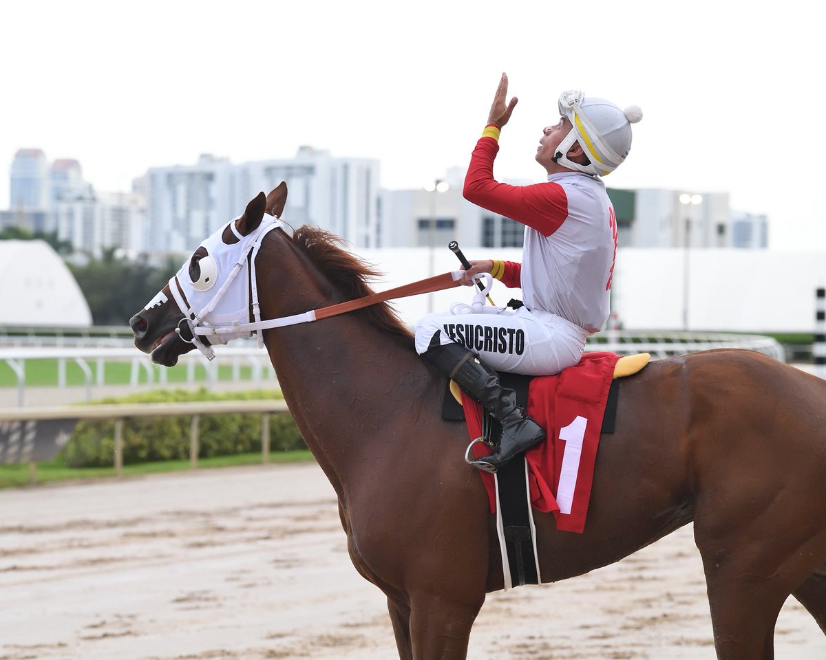 Bold Advance #GulfstreamPark #SunshineMeet