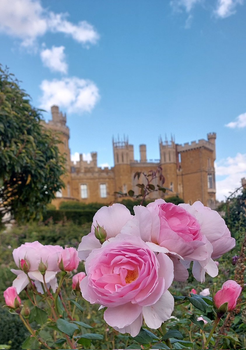 September <a href="/BelvoirCastle/">Belvoir Castle</a>  and our rose garden of around 1000 <a href="/DAustinRoses/">David Austin Roses</a>  is looking great