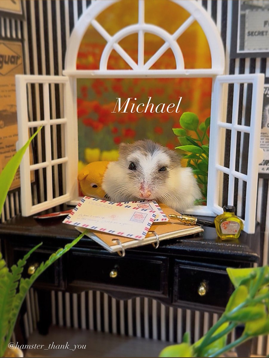 🐼🙌Michael
マイケルくん窓から😀ひょっこり💕