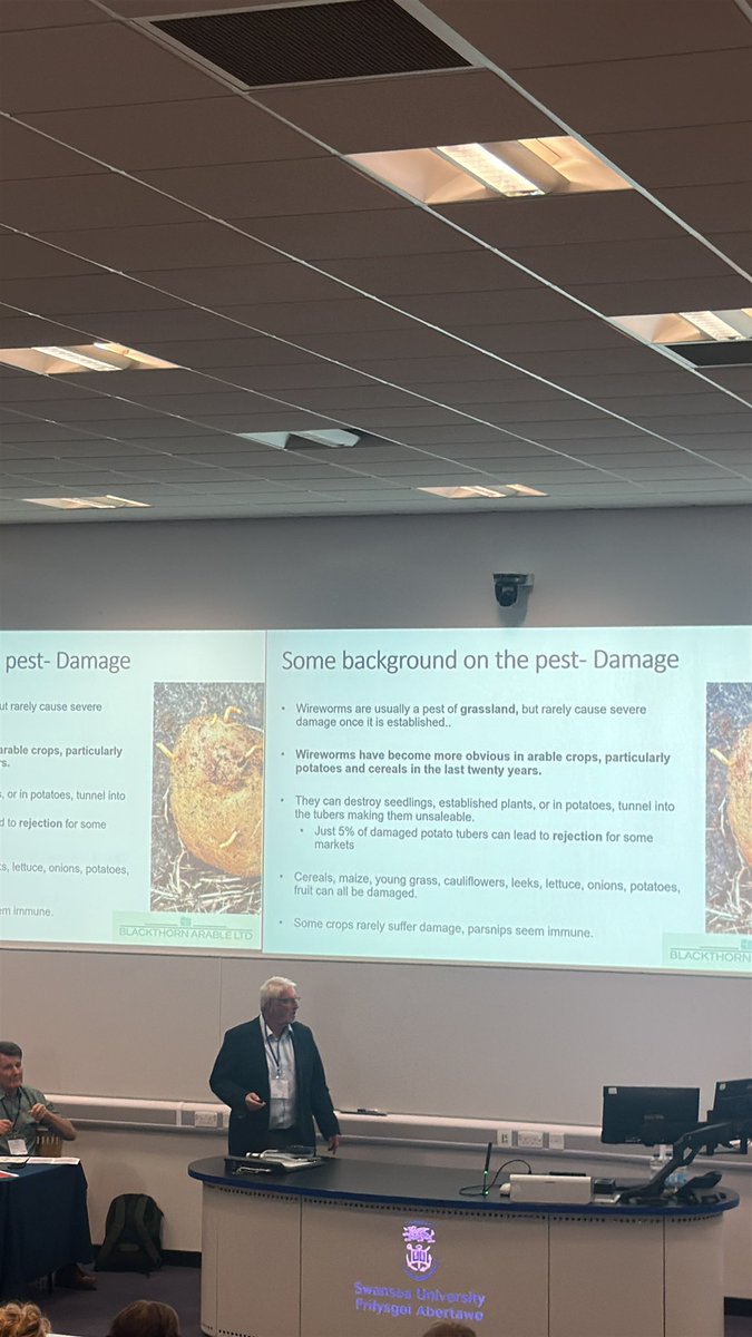 Natural Products BioHUB - Swansea University (@swanseabiohub) on Twitter photo Click beetles and their larvae, wireworms. Ring a bell? No? Well this pesky pest can wreak havoc on the great British potato. Bad news for crisp lovers everywhere :-) Martyn Cox demystifies these critters at #NewIPM Click beetles and their larvae, wireworms. Ring a bell? No? Well this pesky pest can wreak havoc on the great British potato. Bad news for crisp lovers everywhere :-) Martyn Cox demystifies these critters at #NewIPM
