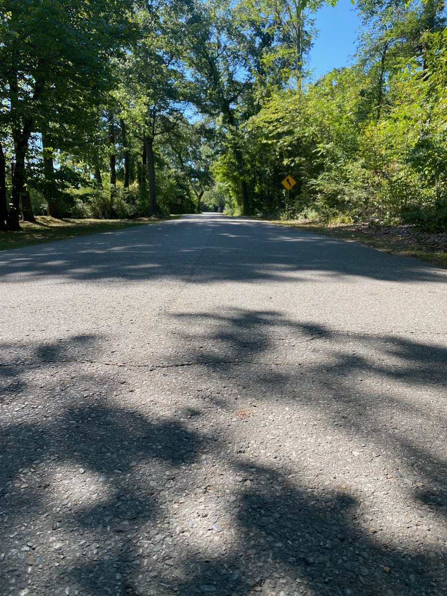 Remember that as the temperatures begin to cool, reptiles will use warm asphalt, like our roadways, to regulate their body temperature. 🌡️ 🐍 

Help us protect these species by observing the posted speed limit within the park, and keeping an eye out for wildlife. 🐢 

#visitck