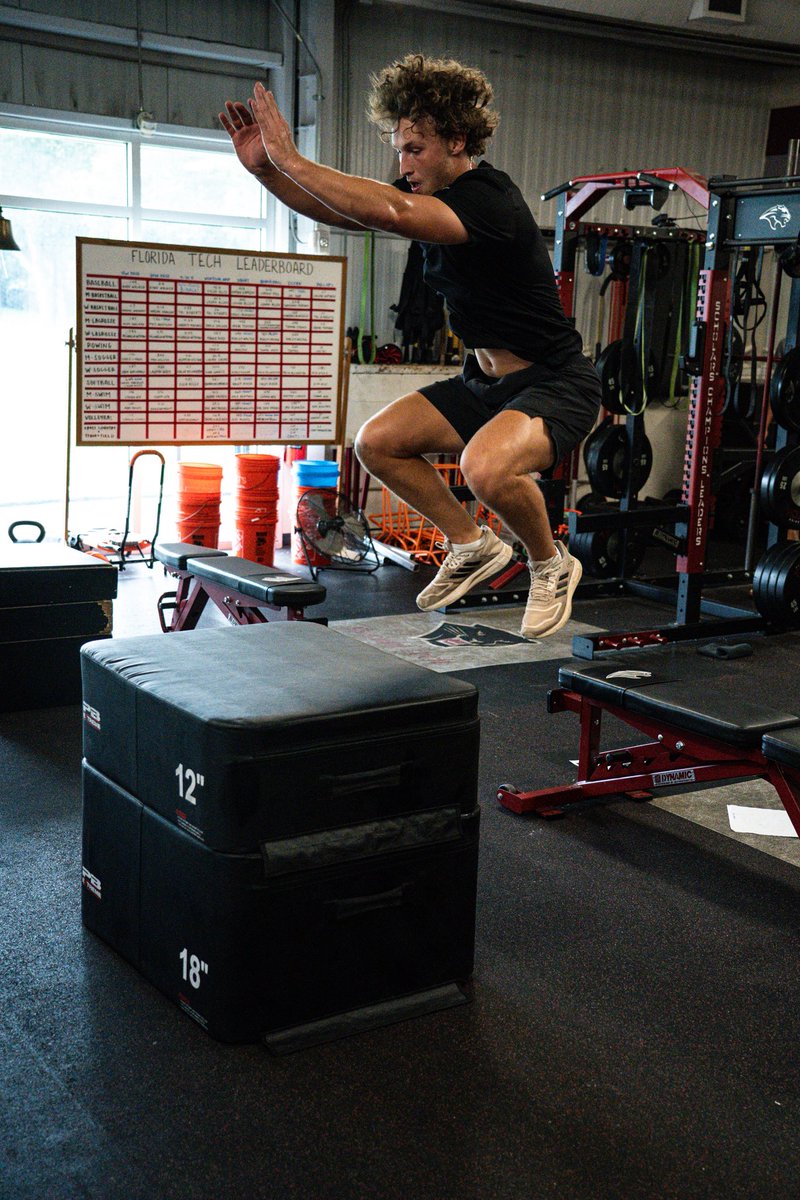 Florida Tech Baseball tweet media