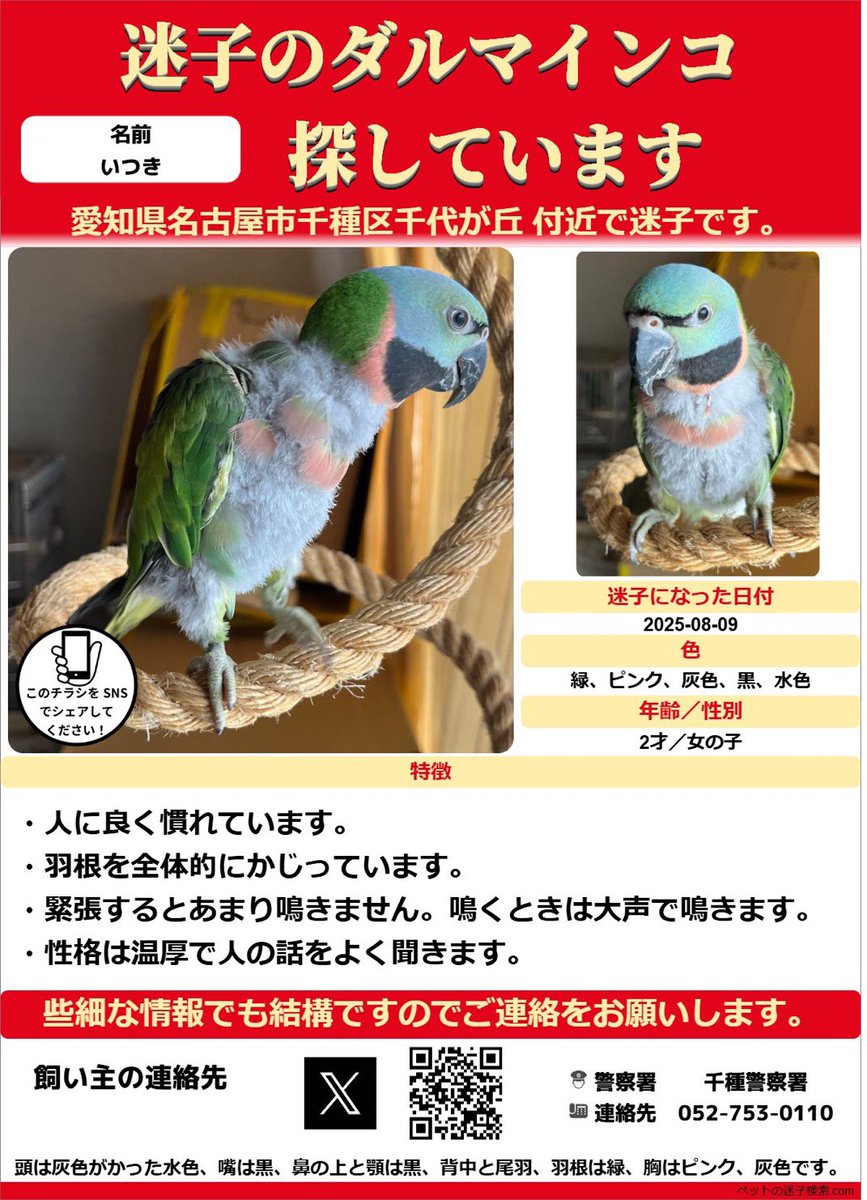 いつきちゃんを逃してしまってから1ヶ月が経ちました。

まだ何も有力な情報がありません。

どんな些細なことでも構いません。

ぜひご連絡をお願いいたします。

#インコ
#迷子
#目撃
#保護
#愛知県
#名古屋市
#千種区
#名東区
#東区
#昭和区
#日進市
#長久手
#鳥
#ダルマインコ 
#拾った
#見た