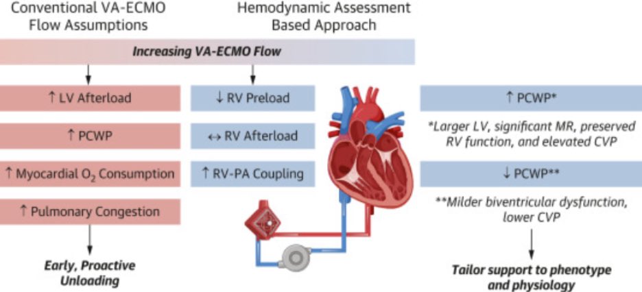 hfcollaboratory's tweet image. Out now in @JACCJournals: An article led by #HFC @vbluml draws on insights from PAPO-Flow, challenging unloading paradigms in VA-ECMO. Underscores that flow is not the enemy and calls for physiology-guided, patient-specific strategies.

#ECMO #CS #PCWP 
sciencedirect.com/science/articl…