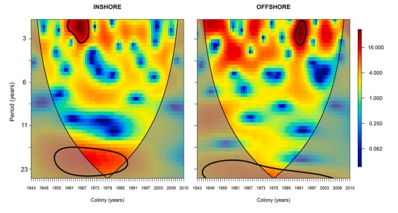 Notícia DIOTG <a href="/inpe_mcti/">INPE</a> 
MOceans participa de estudo de crescimento de coral na costa brasileira
obt.inpe.br/OBT/noticias-o…