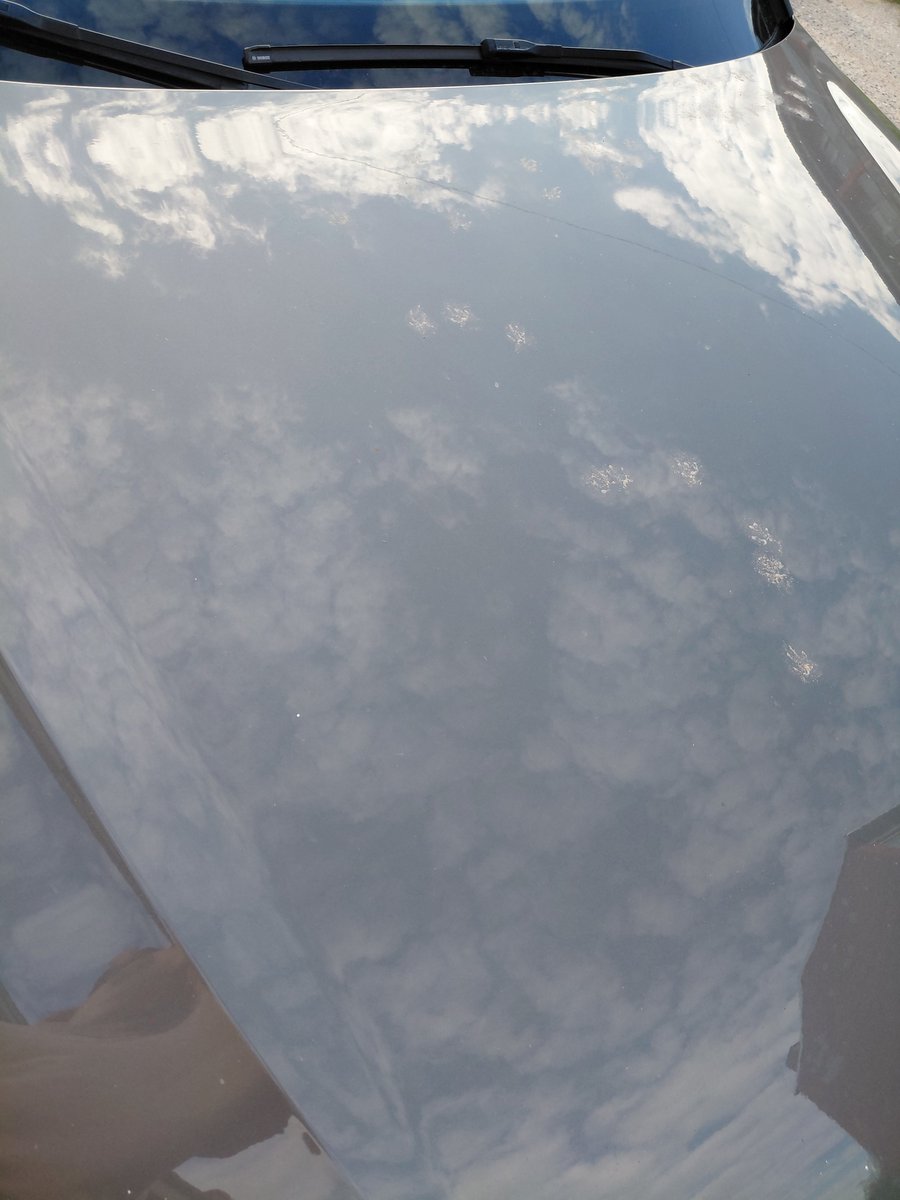 Veterinārārsta auto 💉🩺