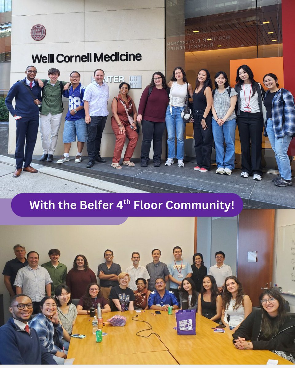 NY Research and Mentoring for Postbaccalaureates tweet media