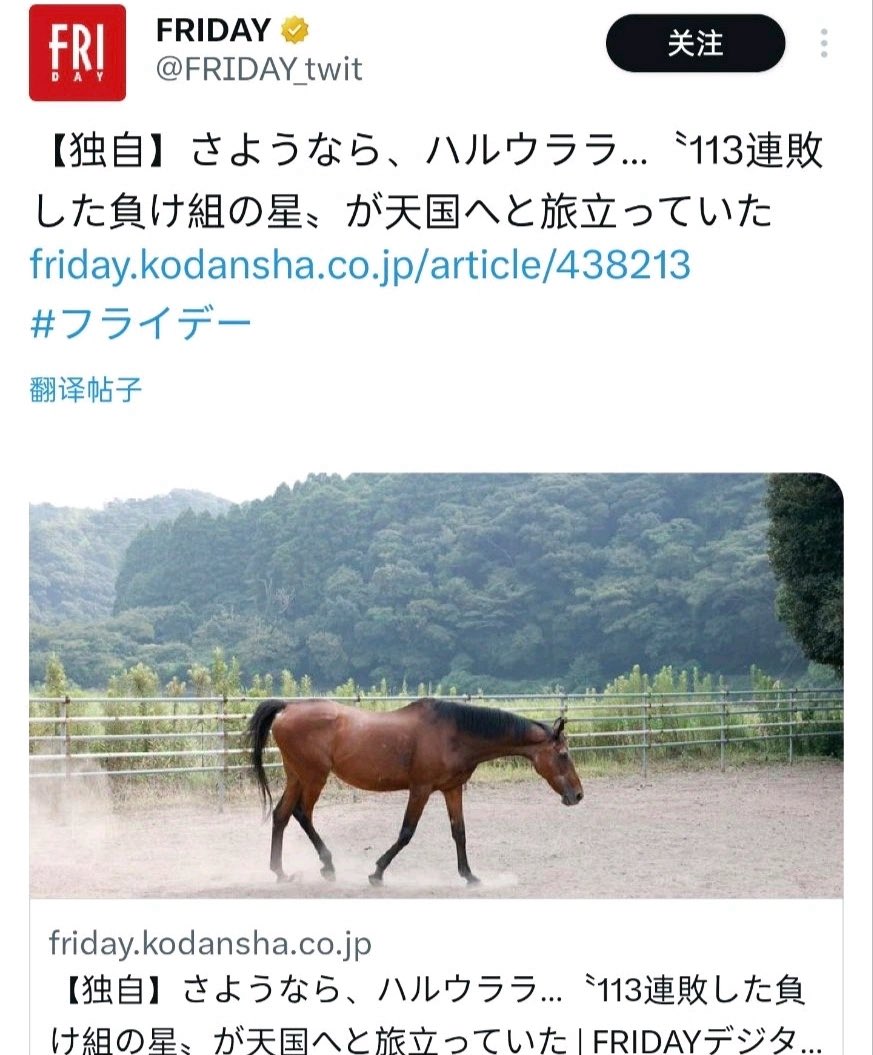 Yorkdotcom's tweet image. Wake up
My day is gonna be so good
Until I saw this 
😭
#umamusume