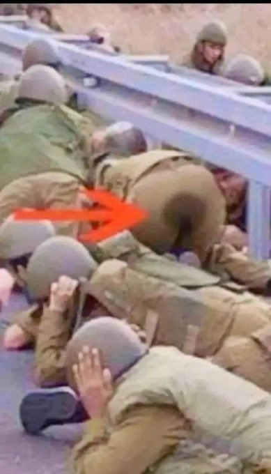 الرفيق بدر 👆🏽 tweet media