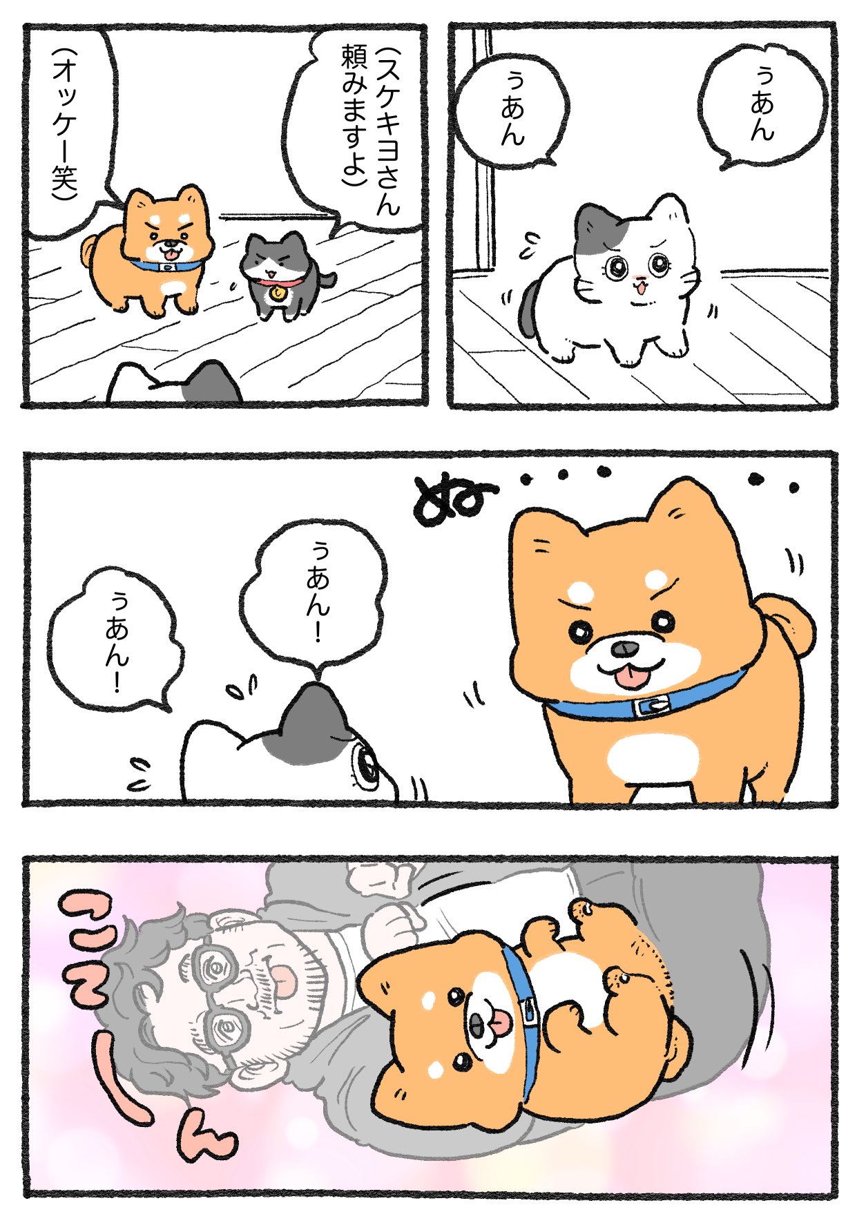 ねこねこ様 カード検索 ｜ Z/X - Zillions of enemy X - ゼクス公式サイト