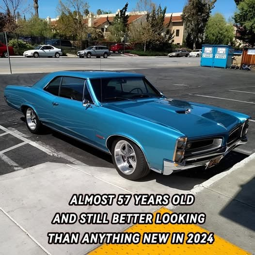 VeronicaLa11's tweet photo. Stunning 1967 Pontiac GTO 🇺🇸

Do you agree with this?

Yes
or
No https://t.co/fLNG6WIJRo