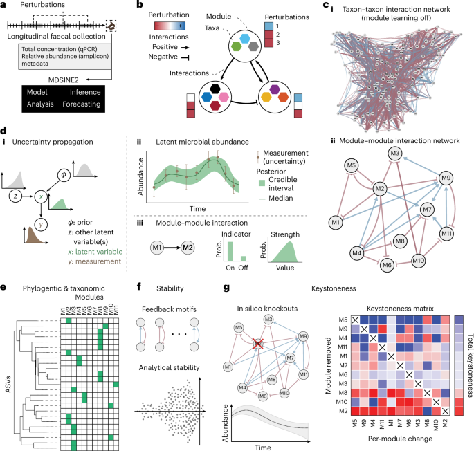 Out Now! Learning ecosystem-scale dynamics from microbiome data with MDSINE2 bit.ly/3K0yguN #Microbiome #BayesianStatistics #EcosystemDynamics