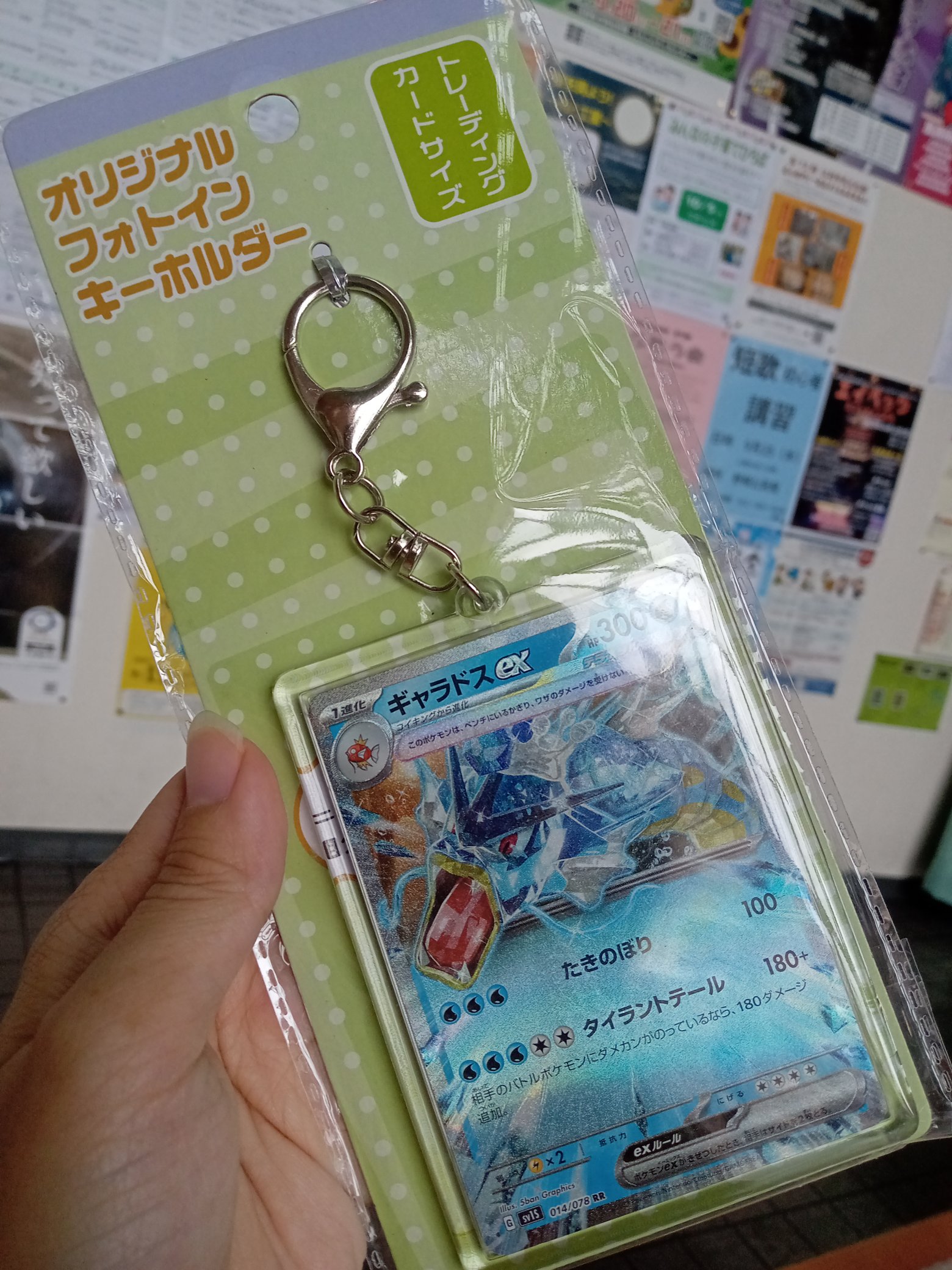 俺があげたギャラドス ギャラドス | ポケモンカードゲーム公式ホームページ