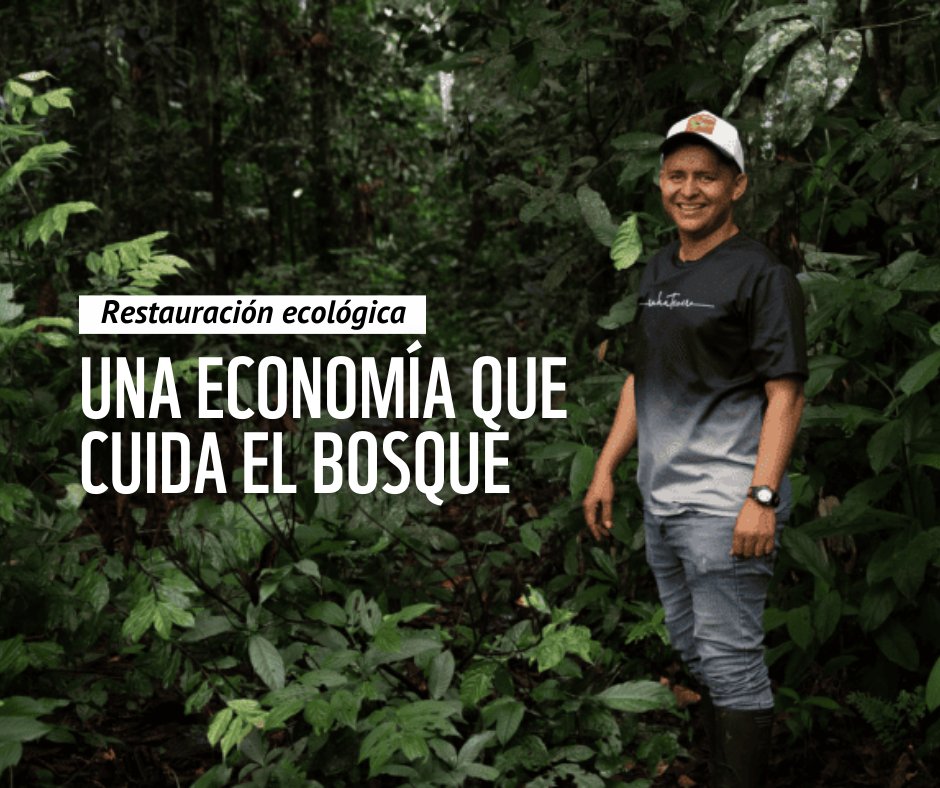 Jeison Bohórquez es un joven campesino que nació en los Llanos Orientales. Como muchos colombianos, él y su familia tuvieron que irse de su lugar de origen por el conflicto armado.

Esta es su historia de restauración: wwf.org.co/?397210/restau…
