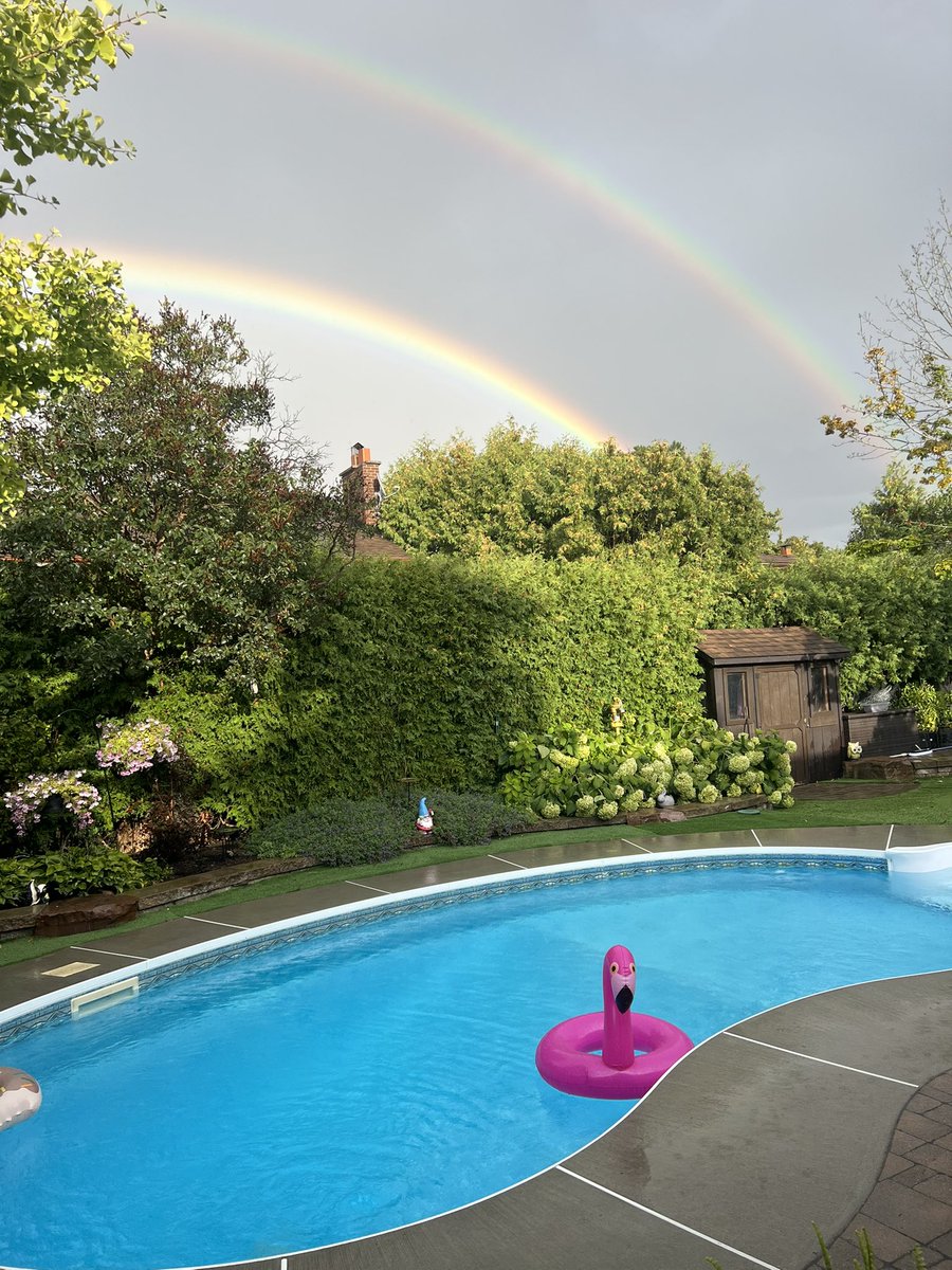 🪴V!K🌾 tweet media