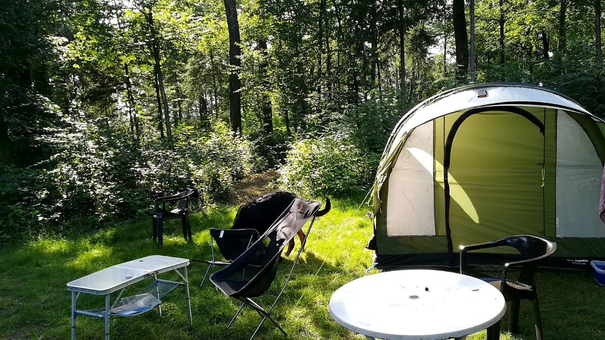 pitchup's tweet image. This northern French site in the #Avesnois Regional Natural Park has secluded woodland pitches and a cosy microlodge, with extra catering perks: continental breakfast, packed lunch, and seasonal evening meals are all available as optional add-ons. 

pitchup.com/campsites/fran…