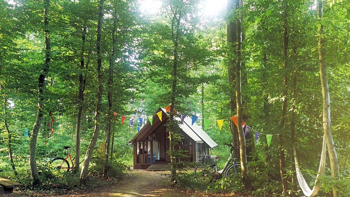 pitchup's tweet image. This northern French site in the #Avesnois Regional Natural Park has secluded woodland pitches and a cosy microlodge, with extra catering perks: continental breakfast, packed lunch, and seasonal evening meals are all available as optional add-ons. 

pitchup.com/campsites/fran…