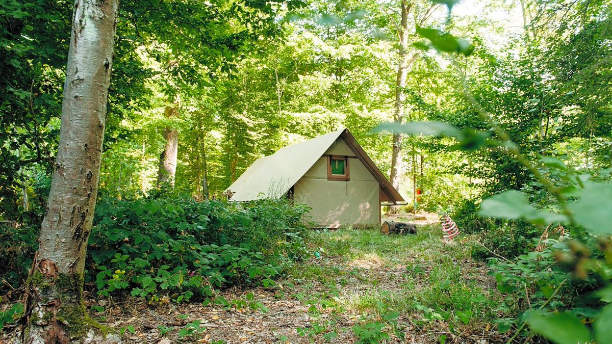 pitchup's tweet image. This northern French site in the #Avesnois Regional Natural Park has secluded woodland pitches and a cosy microlodge, with extra catering perks: continental breakfast, packed lunch, and seasonal evening meals are all available as optional add-ons. 

pitchup.com/campsites/fran…