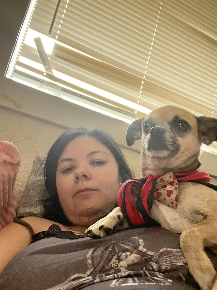 Robin Guymon (@robinsguymon) on Twitter photo 