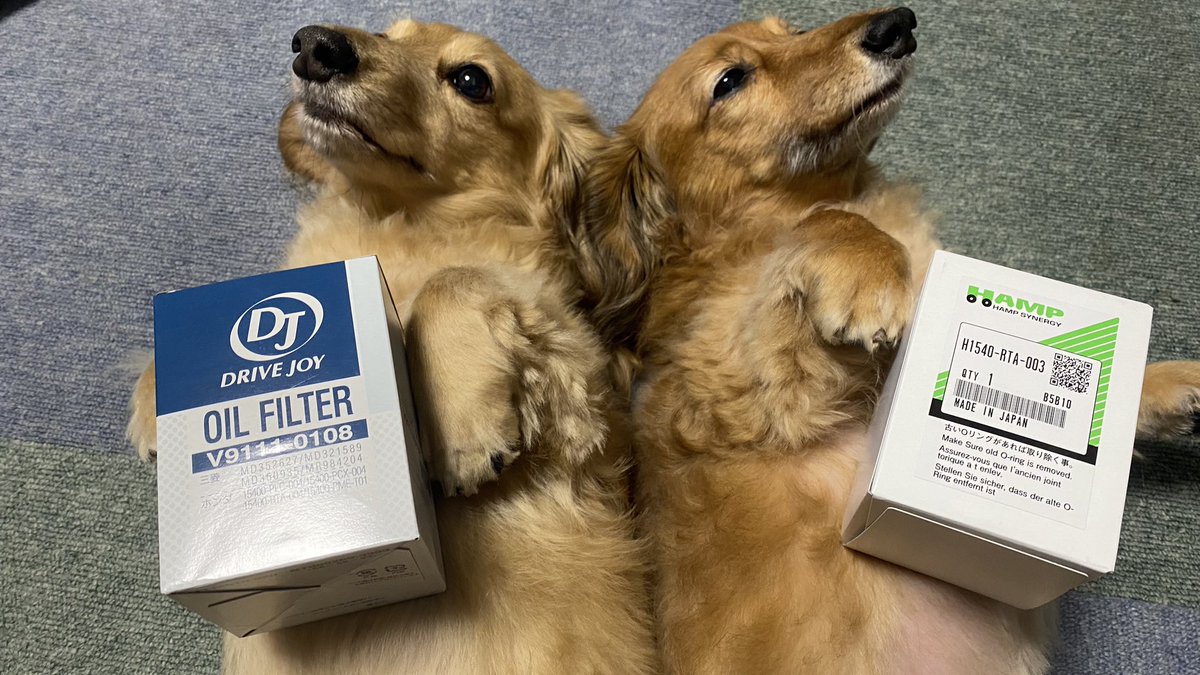 最初はどっち付けようかな b18c-EF