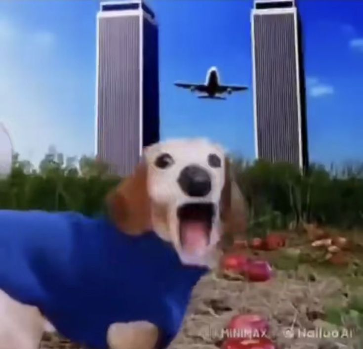 7s (@no__7s) on Twitter photo 