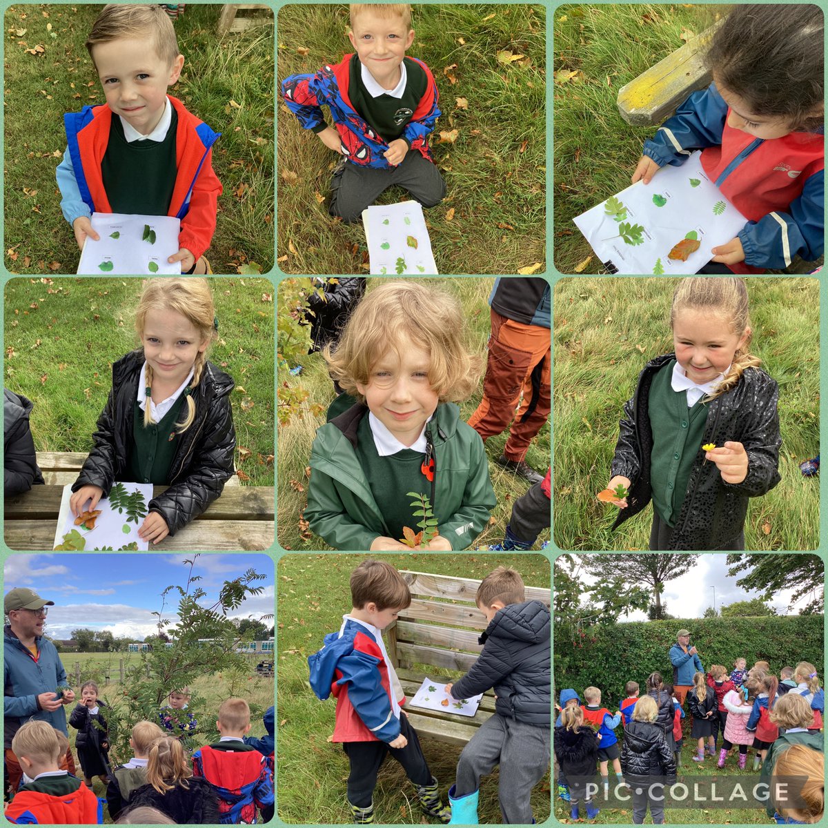 Bader Primary School tweet media