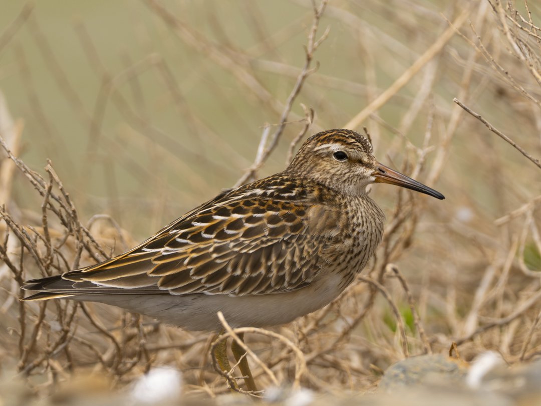 José Manuel Caballero Fernández tweet media