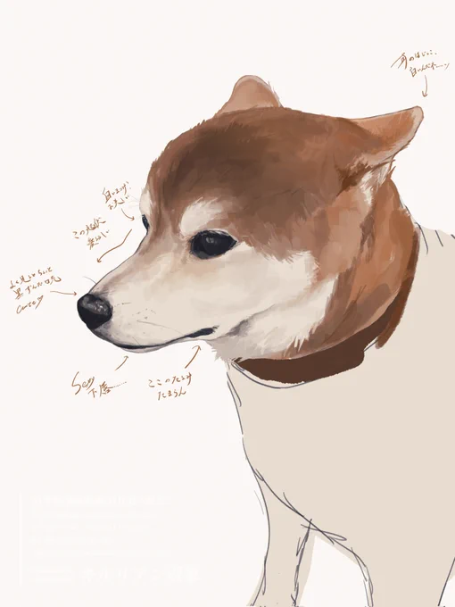 息抜きにフォロワーのイヌを描かせていただいてるんですが本当に、可愛い…… 愛おしい命すぎる………………