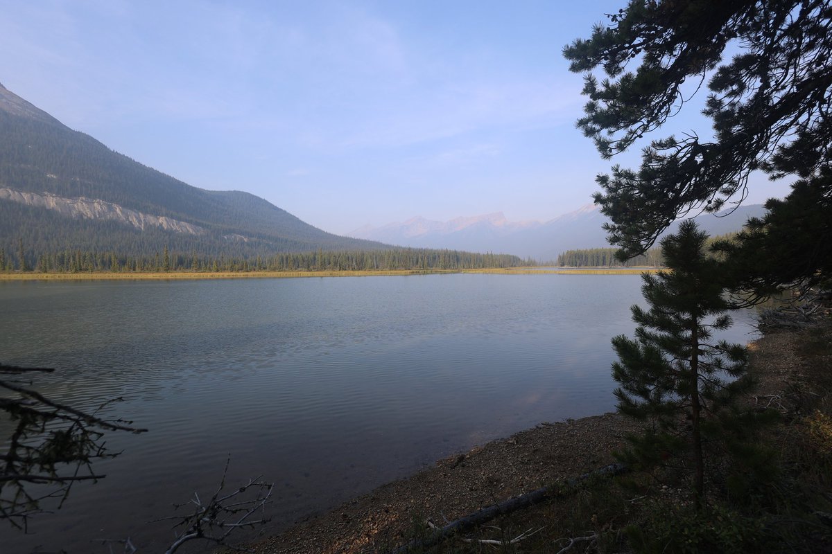 BenHikes's tweet photo. No idea when I'll get all this stuff put together (I won't even have real Internet until Thursday) but the North Boundary Trail was every bit the experience I expected. https://t.co/8IAHweiYUc