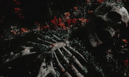 โ โ โ ๐ก๐๐ซ๐ซ๐ฒ ๐ณ. ๐ฉ๐จ๐ญ๐ญ๐๐ซ. โ tweet media