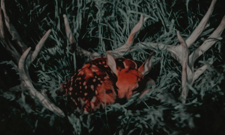 โ โ โ ๐ก๐๐ซ๐ซ๐ฒ ๐ณ. ๐ฉ๐จ๐ญ๐ญ๐๐ซ. โ tweet media