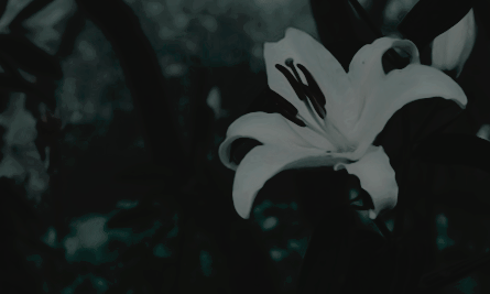 โ โ โ ๐ก๐๐ซ๐ซ๐ฒ ๐ณ. ๐ฉ๐จ๐ญ๐ญ๐๐ซ. โ tweet media