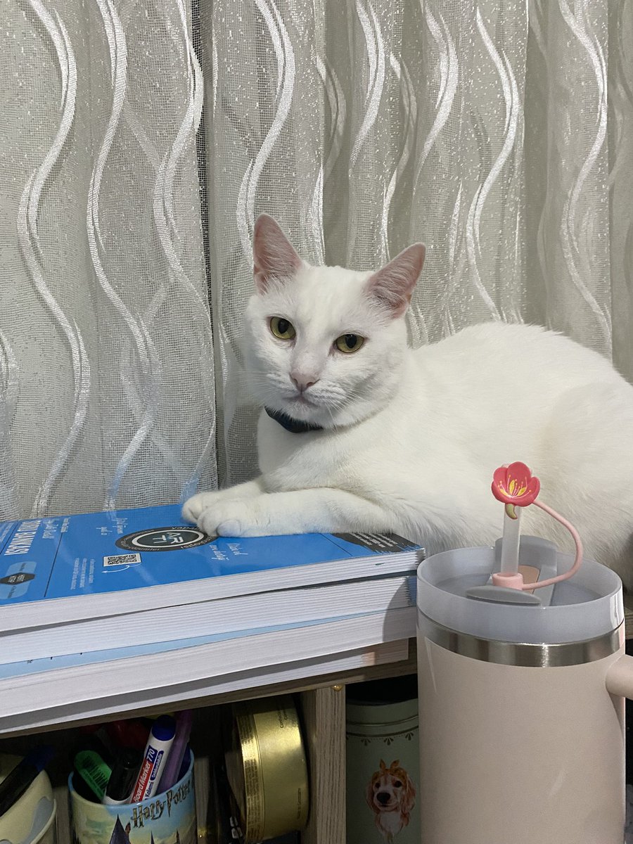 bunlar hep burada mi durcak yatamiyom cunku???