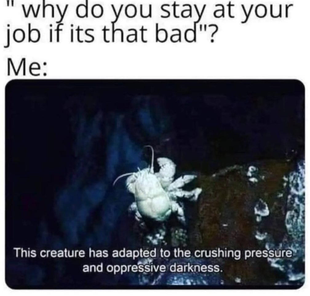 Arv 💩🗯️ tweet media