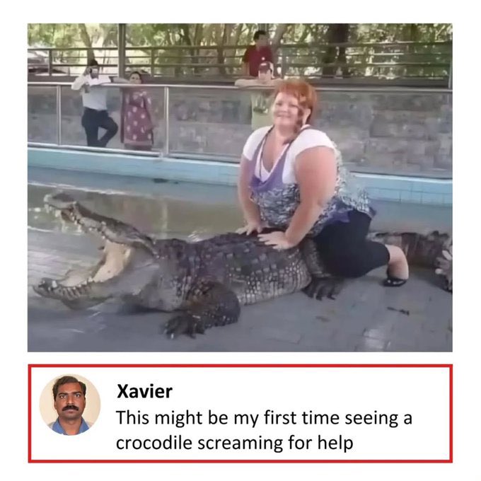 alifarhat79's tweet photo. 🤣🤣🤣 https://t.co/efsHjBGNGB