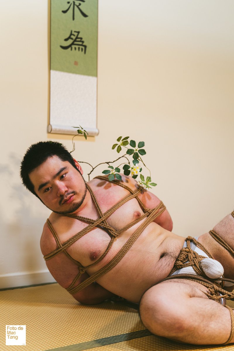 I Can Teach You
But I Have to Charge. 

With <a href="/water_bridge/">赵旭日</a> 
🏠：<a href="/KangBuway/">Buway Kang</a> 
🪢：<a href="/PupYivan/">PupYivan</a>