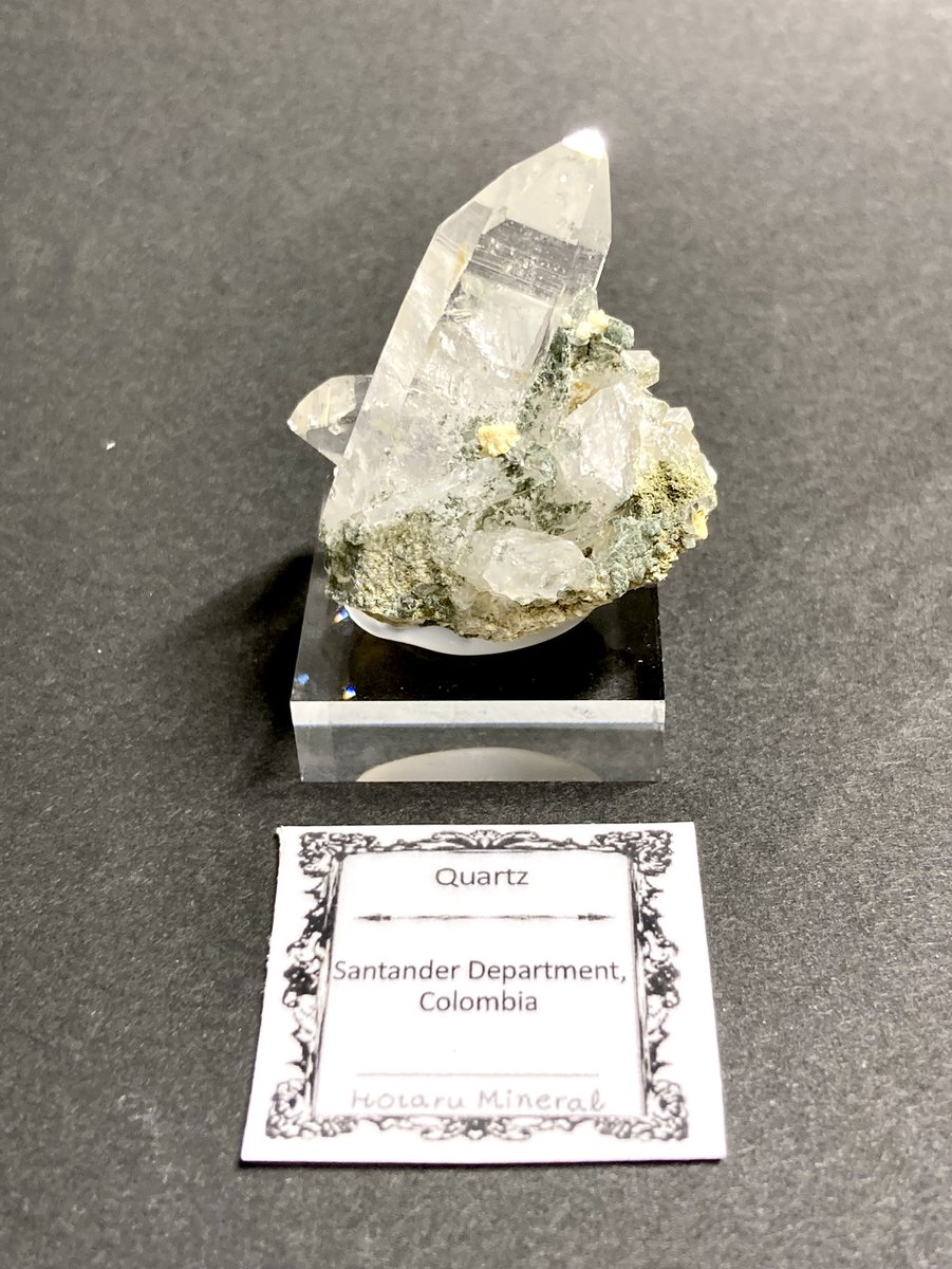 ほたるみねらる(<a href="/hotarumineral/">ほたるみねらる</a>)さんより
②クォーツ(クローライト)
実はクォーツという直球のものは初めて購入
というのも色々な場面で見かけるが「また今度でいいかな」とピンと来なかったからです
この標本はクローライトがいい味を出していて、クォーツが引き立っていると感じたのが決め手でした