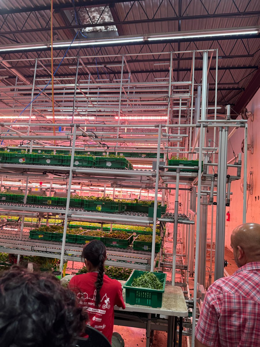 Clarke County Education Foundation tweet media