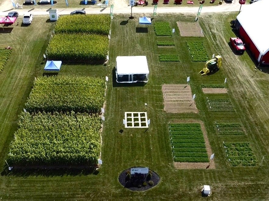 DLF is live at the <a href="/outdoorfarmshow/">Canada's Outdoor Farm Show</a>!  Visit booth N-B to talk to our team and get entered to win $1000 worth of seed! 🌱 #CanadasOutdoorFarm Show #cdag #SeedtoSuccess