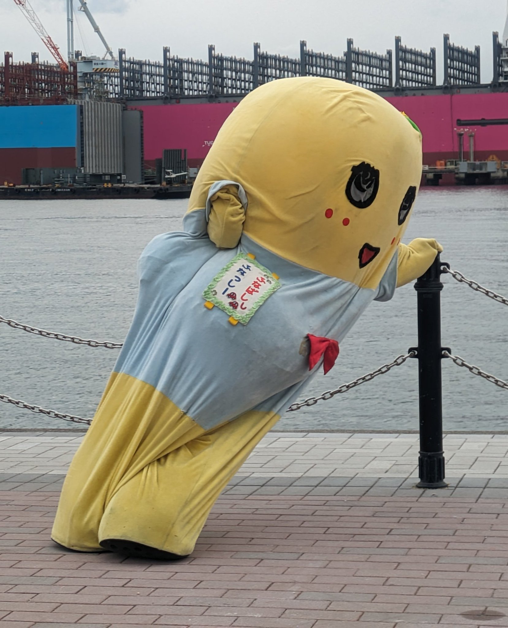 まぁちゃん 1710319888_300.jpg