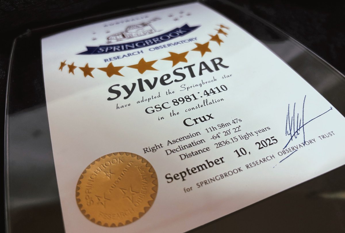 ᵃʸᵃ⸜🌷︎⸝‍ tweet media