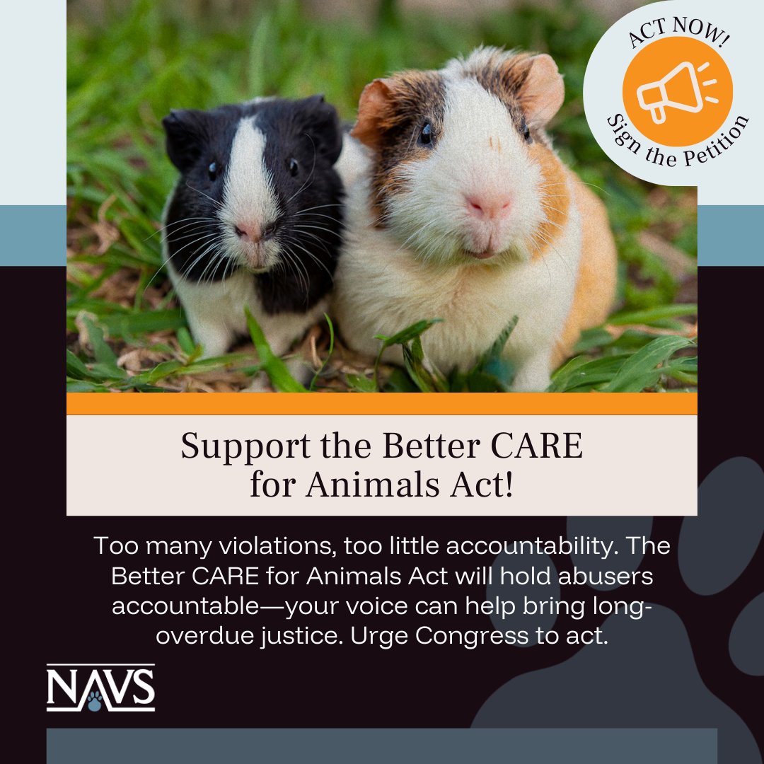 NAVS_US's tweet photo. Too many labs and facilities get away with repeated animal welfare violations. The Better CARE for Animals Act would change that—bringing real penalties and rescuing animals from abuse.

Tell Congress to act: https://t.co/K5VxoxU76t

#EndAnimalTesting #AnimalRights #HumaneScience #StopAnimalCruelty
