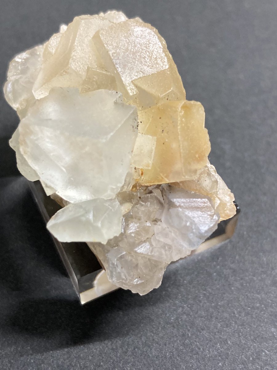 ほたるみねらる(<a href="/hotarumineral/">ほたるみねらる</a>)さんより
③フローライト(ビンガム)
マット感強いかな？と思うけど、青が入っていたり細かいクォーツがいたり実は結晶の形が良かったりで刺さりました
これを買えたのが一番嬉しかったかも(しかもお手頃)
透明感があるものを買いがちなので、良いアクセントになりました