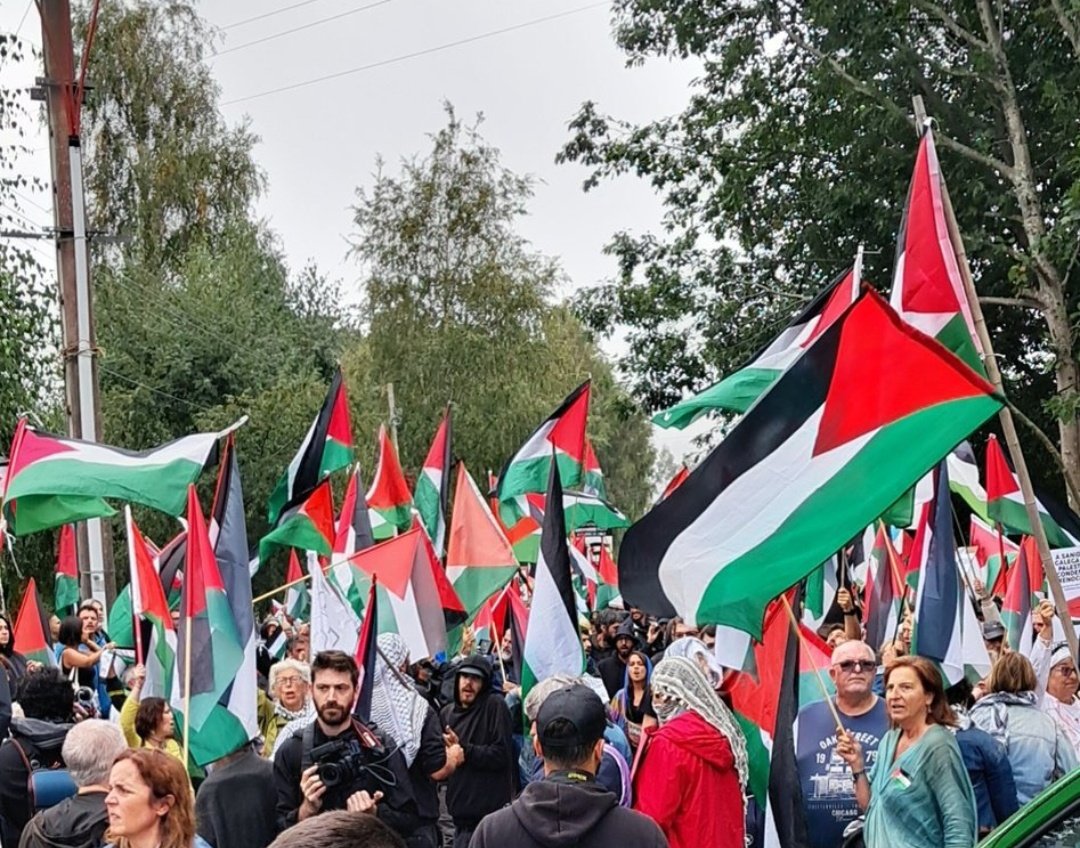 El pueblo dando una nueva lección a todos los gobiernos incapaces de parar al estado genocida de Israel. 
Por cierto, Perico Delgado un problema político es la reducción de jornada laboral, matar con bombas y de hambre a un todo un pueblo es un GENOCIDIO. 
#VueltaRTVE9s