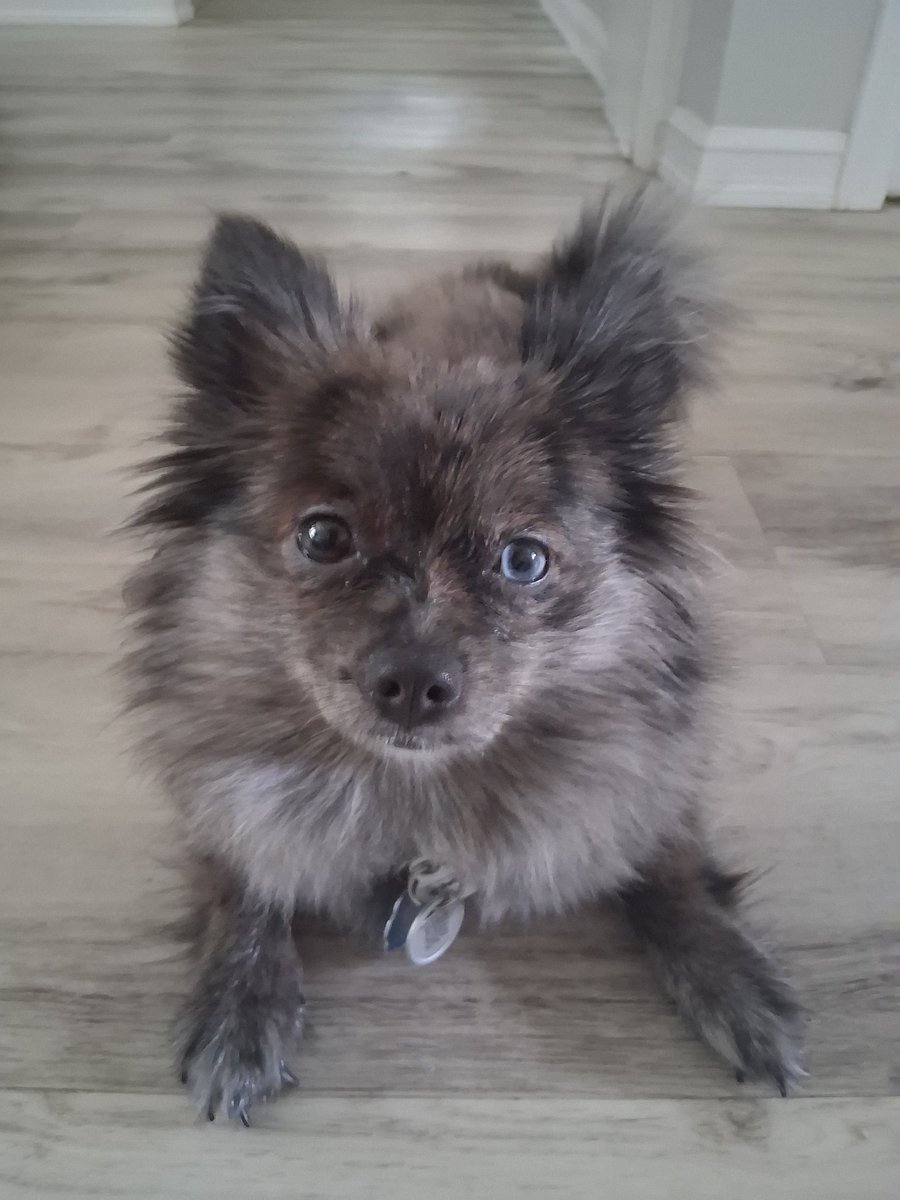 Look at my little demon