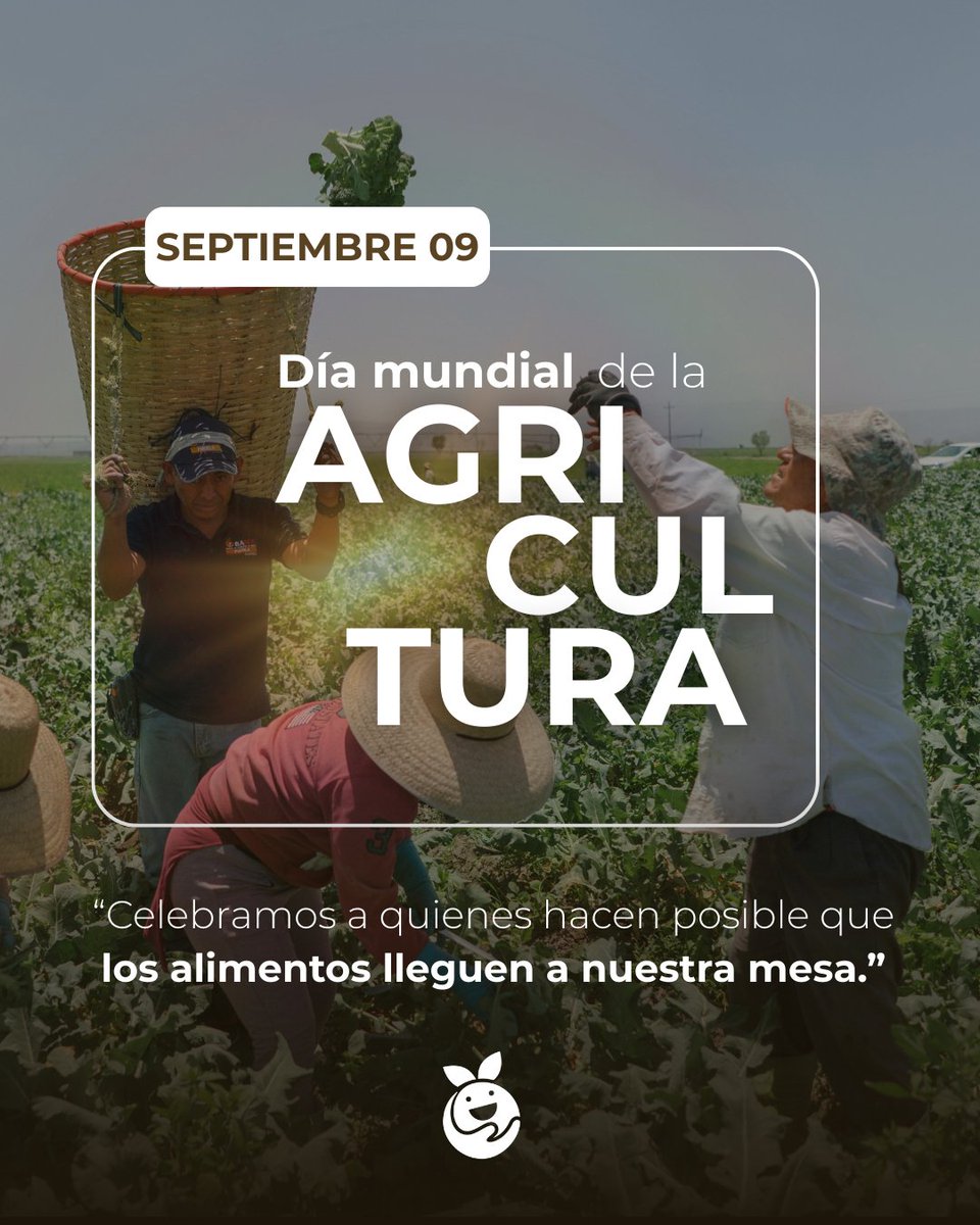 Red de Bancos de Alimentos de México tweet media