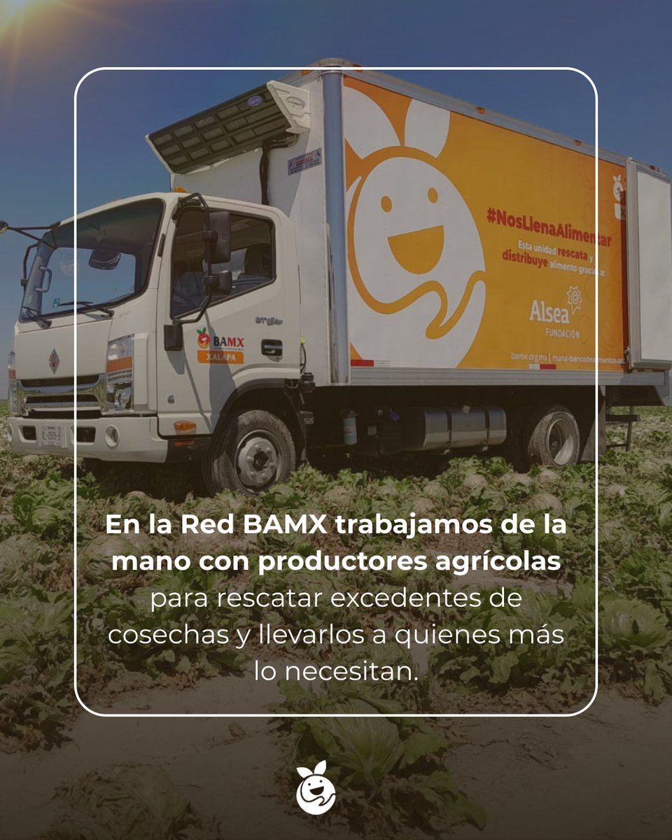 Red de Bancos de Alimentos de México tweet media