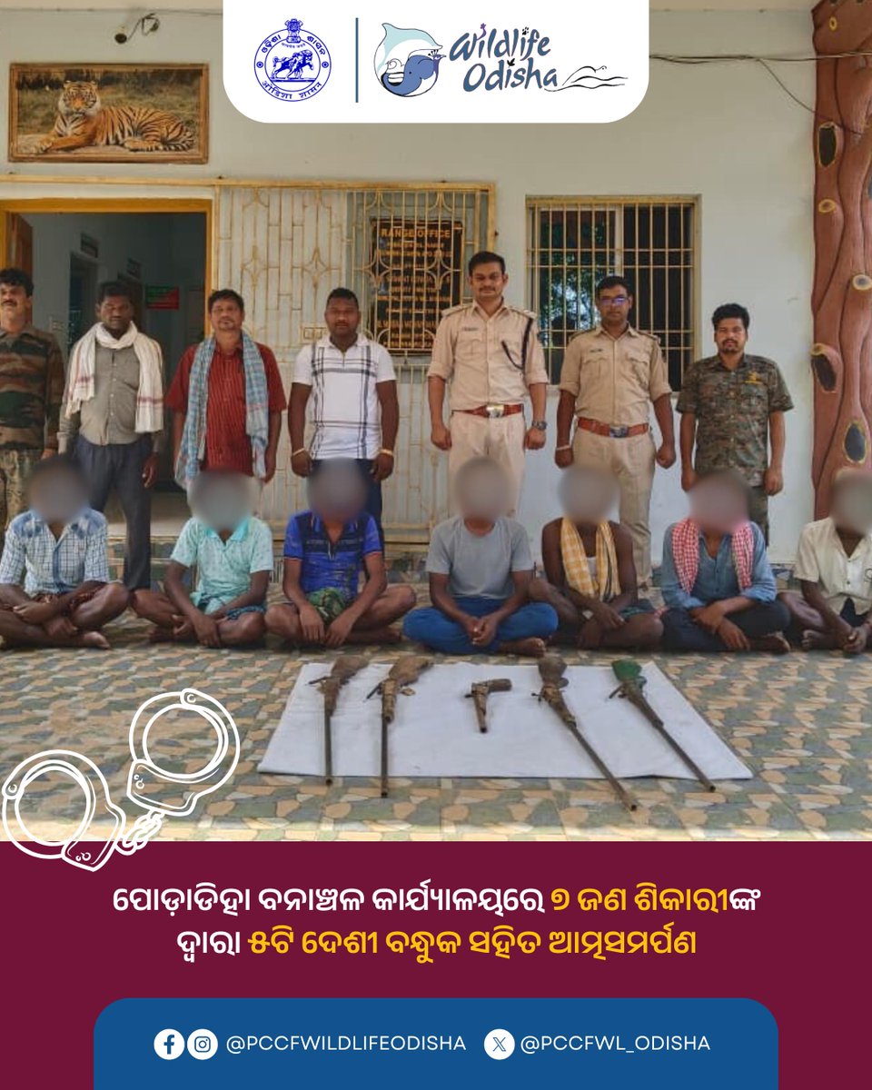 ଶିମିଳିପାଳ ୱାଇଲ୍ଡଲାଇଫ୍ ଇଣ୍ଟେଲିଜେନ୍ସ ନେଟୱାର୍କ (SWIN) କର୍ମଚାରୀଙ୍କ ହସ୍ତକ୍ଷେପରେ ପୋଡ଼ାଡିହା ବନାଞ୍ଚଳ କାର୍ଯ୍ୟାଳୟରେ ୭ ଜଣ ଶିକାରୀ ୫ଟି ଦେଶୀ ବନ୍ଧୁକ ସହିତ ଆତ୍ମସମର୍ପଣ କରିଛନ୍ତି । ଏହି ମାମଲାରେ ସମସ୍ତ ଅଭିଯୁକ୍ତଙ୍କୁ ଗିରଫ କରାଯାଇଛି । 
#SaveWildlife